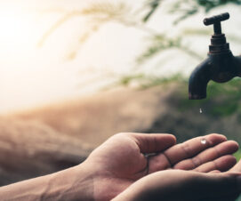 Apprenons à économiser l’eau au quotidien