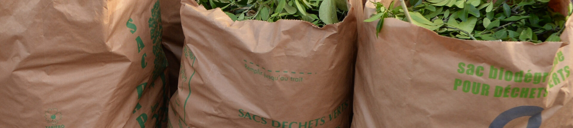 Depuis le 1er juin, les sacs à déchets verts sont disponibles à l’accueil de l’Hôtel de ville