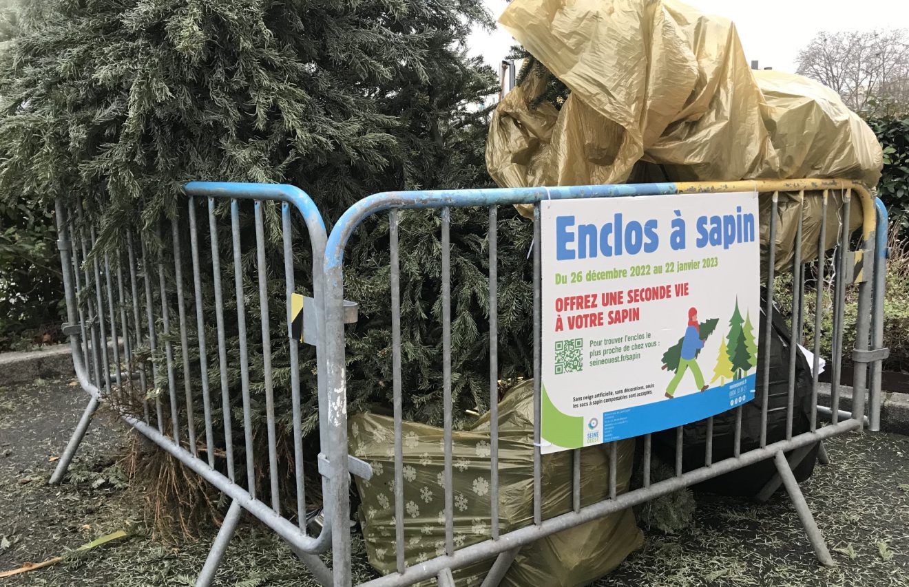 Vos sapins de Noël collectés et compostés près de chez vous