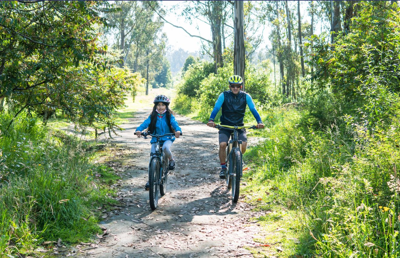 Une balade à vélo en forêt  de Meudon, ça vous tente ?