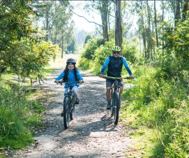 Une balade à vélo en forêt  de Meudon, ça vous tente ?