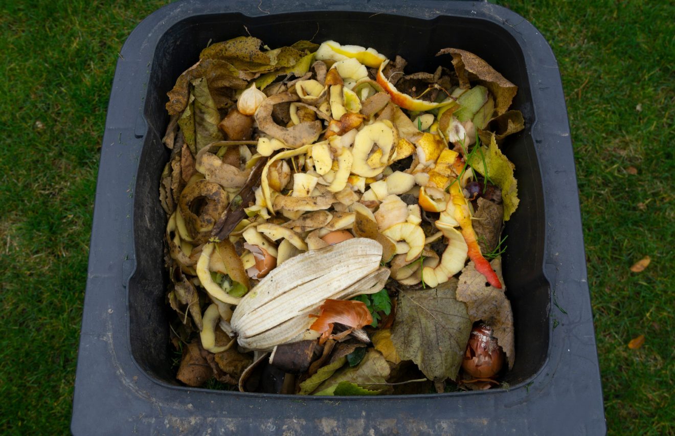 Collecte des déchets alimentaires : le lundi, le bac gris, c’est fini !