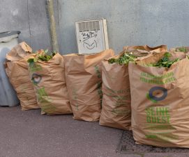 Déchets verts : tous les jeudis à partir du 18 avril !