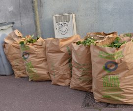 Reprise de la collecte  de déchets verts !