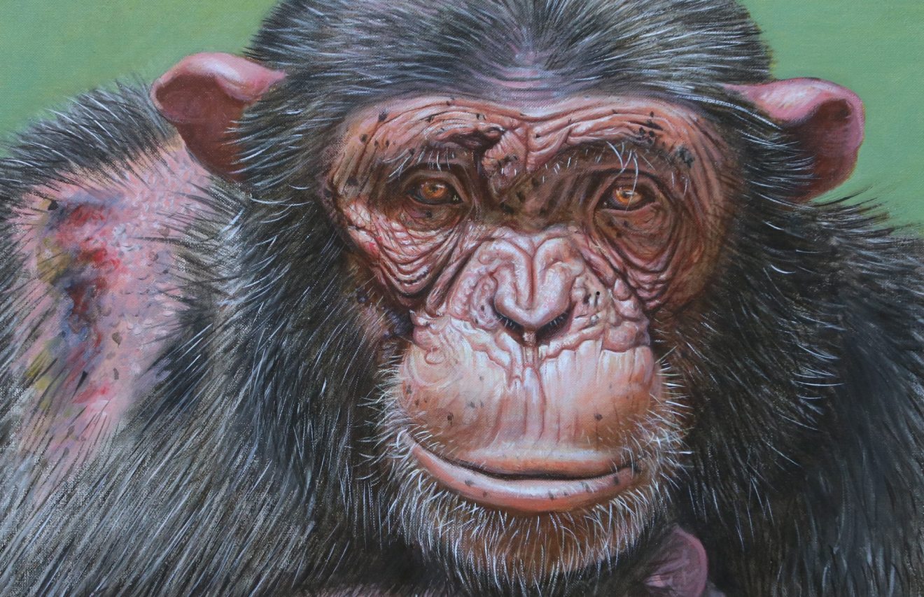 L’animal est l’avenir  de l’homme, par Georges Pagès