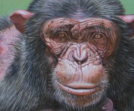 L’animal est l’avenir de l’homme, par Georges Pagès