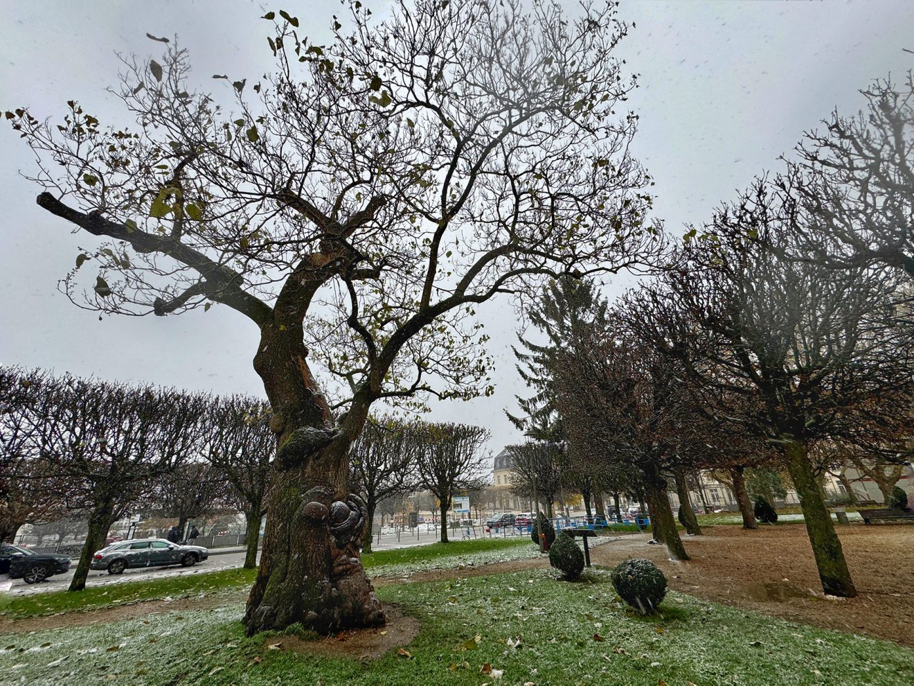 La photo du mois de décembre 2024