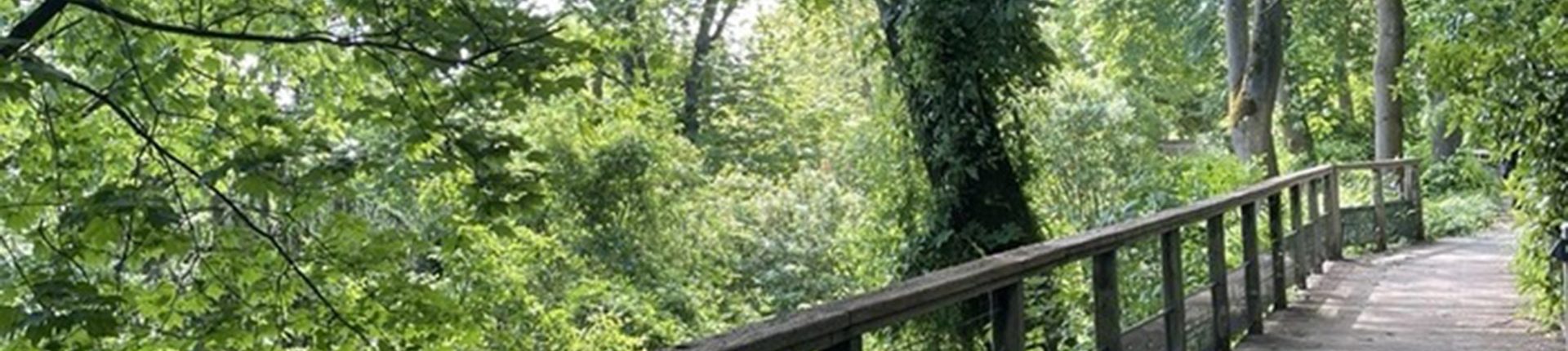 Balade guidée : découverte de la biodiversité et reconnaissance des oiseaux du parc de Brimborion