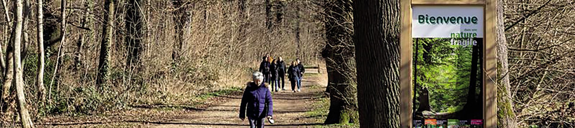 L’ONF à Sèvres : concilier gestion forestière et préoccupations  environnementales