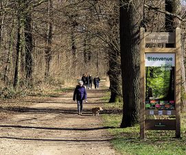 L’ONF à Sèvres : concilier gestion forestière et préoccupations  environnementales