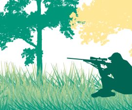 Information sur les opérations de régulation en forêt