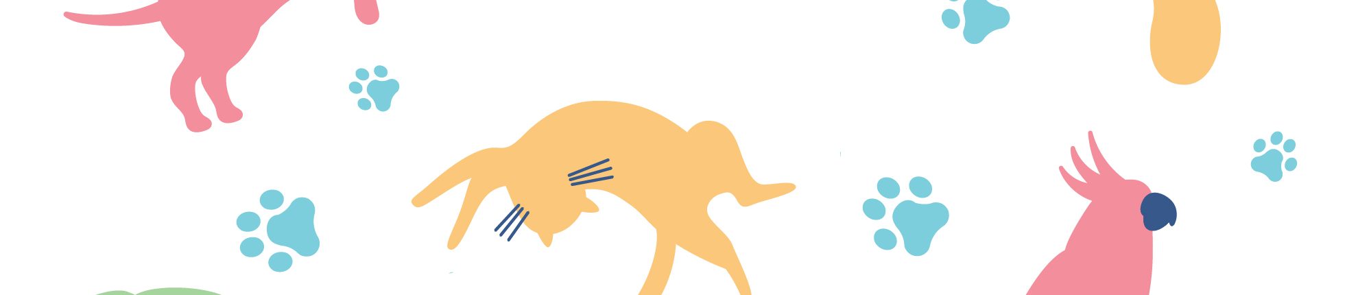 Bien être animal