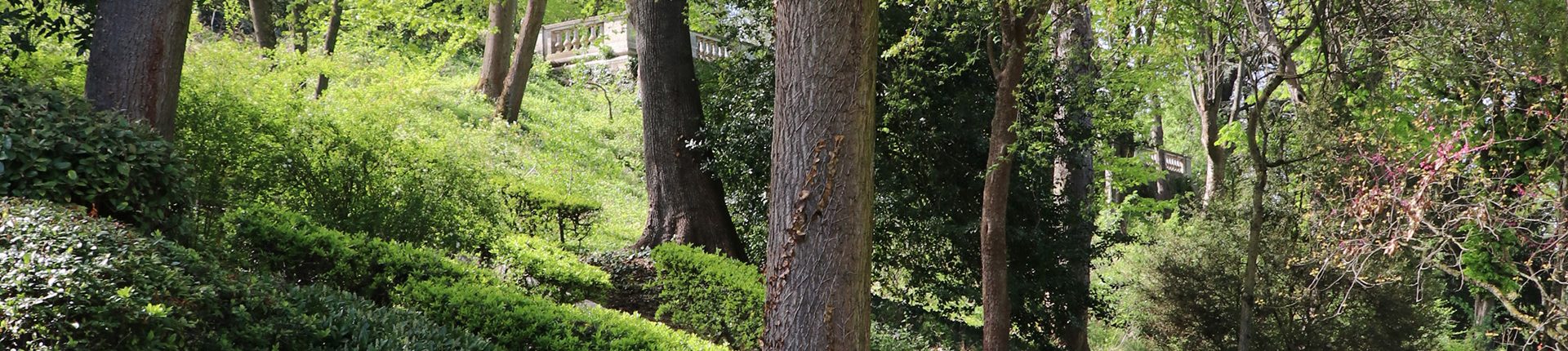 Le parc Brimborion labellisé EcoJardin