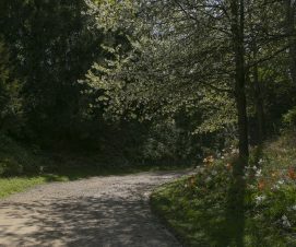 Le parc de Brimborion labellisé EcoJardin