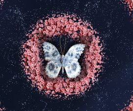 La fête des Lumières 2025 :  une soirée éclatante sous le signe des fleurs