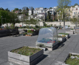 Envie de jardiner ? Adhérez aux jardins partagés !