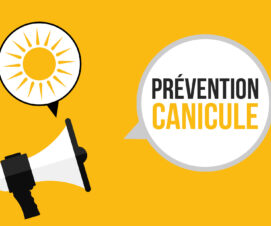 Plan canicule 2026 : la Ville veille sur vous et vous accompagne