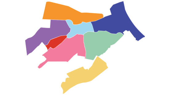 Démocratie locale